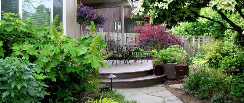 Completing the Landscaping of Your Yard 