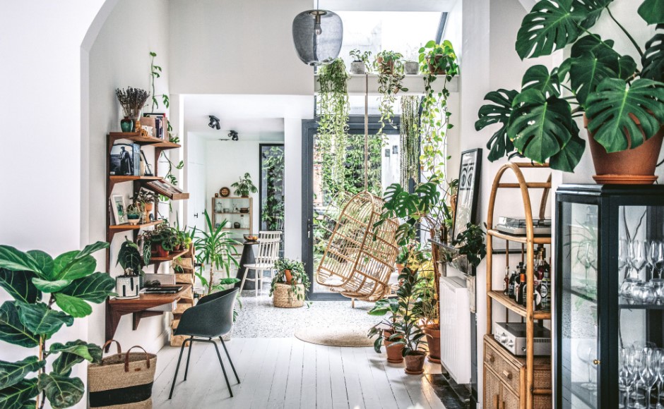How to Integrate Indoor and Outdoor Plants in the House 